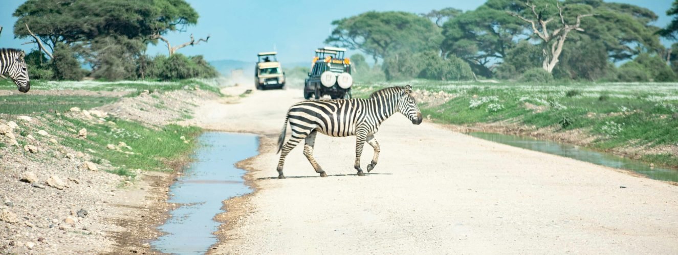 brian-kungu-eK00bbGzp0g-unsplash (2)